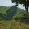 photo_6754222