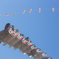 くまもん空を飛ぶ