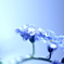 water*