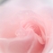 Breath of love