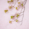 桜～memory～Ⅱ