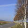 photo_67634