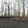 初冬の公園