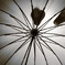 On the umbrella