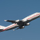 青空CYGNUS
