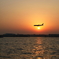 夕陽