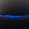 夜光虫