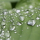 雨上がり