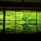 瑠璃光院