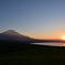 夕日に映える