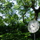 DSC00876