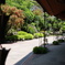 DSC00888