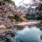 桜の川