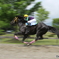 いなべ草競馬
