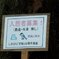 巣箱に入居者募集