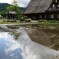 田んぼと青空と白川郷2