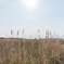 宮城県石巻市