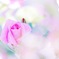 薔薇