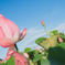 DSCF2579