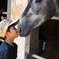 僕の愛馬