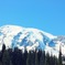 夏の山２