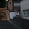 たそがれ時は、僕もたそがれる