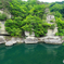 新緑の風景
