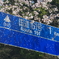 雨あがり