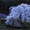 幽玄