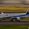 ANA B-787 流し撮り