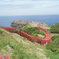 山口県長門市油谷「元乃隅稲成神社」