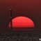 太陽にほえろ