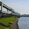 隅田川　(王子)