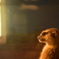 動物園２