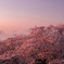 夕日に染まりて