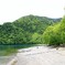 千手ヶ浜の新緑１