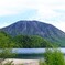 千手ヶ浜の新緑２