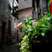 DSC00860