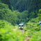 赤から白、そして緑へ