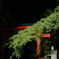 西国三十三所巡り 岡寺
