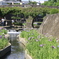 　高瀬眼鏡橋