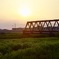 夕日に照らされて