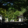 西国三十三所巡り 岡寺2