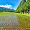 日本風景９３１　田園