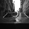 In Soho New York