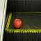 Apple(?)