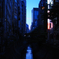 sibuya river3