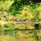 依水園