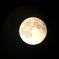 strawberry moon