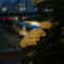 梅雨